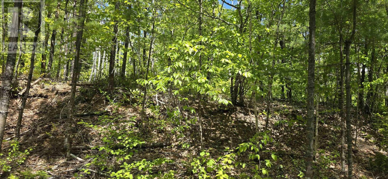 Property 11 of 33 of Lot 24-4 East Clifford Road