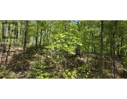 Lot 24-4 East Clifford Road, East Clifford, NS B4V7R8 Photo 6