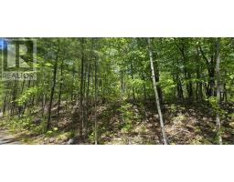 Lot 24-4 East Clifford Road, East Clifford, NS B4V7R8 Photo 12
