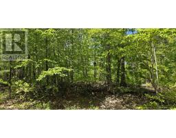 Lot 24-4 East Clifford Road, East Clifford, NS B4V7R8 Photo 13
