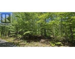 Lot 24-4 East Clifford Road, East Clifford, NS B4V7R8 Photo 8