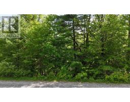 Lot 24-4 East Clifford Road, East Clifford, NS B4V7R8 Photo 22