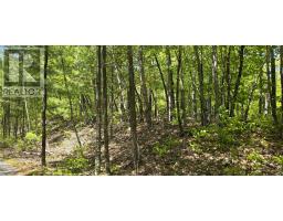 Lot 24-4 East Clifford Road, East Clifford, NS B4V7R8 Photo 7