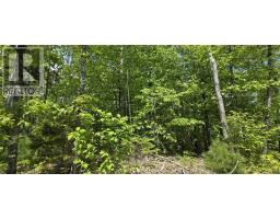 Lot 24-4 East Clifford Road, East Clifford, NS B4V7R8 Photo 20