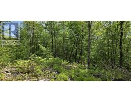 Lot 24-4 East Clifford Road, East Clifford, NS B4V7R8 Photo 24