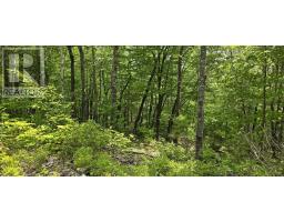 Lot 24-4 East Clifford Road, East Clifford, NS B4V7R8 Photo 19