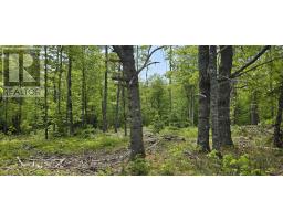 Lot 24-6 East Clifford Road, East Clifford, NS B4V7R8 Photo 18