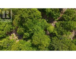 Lot 24-4 East Clifford Road, East Clifford, NS B4V7R8 Photo 9