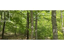Lot 24-4 East Clifford Road, East Clifford, NS B4V7R8 Photo 31