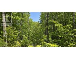 Lot 24-4 East Clifford Road, East Clifford, NS B4V7R8 Photo 30