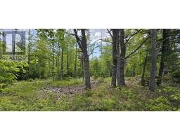Lot 24-6 East Clifford Road, East Clifford, NS B4V7R8 Photo 14