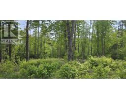 Lot 24-6 East Clifford Road, East Clifford, NS B4V7R8 Photo 7