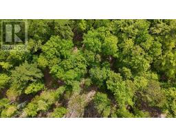 Lot 24-6 East Clifford Road, East Clifford, NS B4V7R8 Photo 12