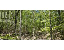 Lot 24-6 East Clifford Road, East Clifford, NS B4V7R8 Photo 8