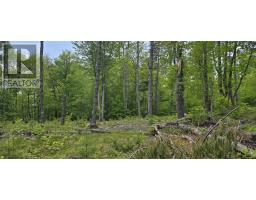 Lot 24-6 East Clifford Road, East Clifford, NS B4V7R8 Photo 19
