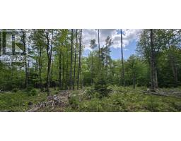 Lot 24-6 East Clifford Road, East Clifford, NS B4V7R8 Photo 20
