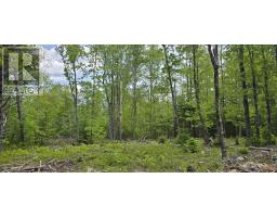 Lot 24-6 East Clifford Road, East Clifford, NS B4V7R8 Photo 16