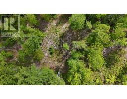 Lot 24-6 East Clifford Road, East Clifford, NS B4V7R8 Photo 10