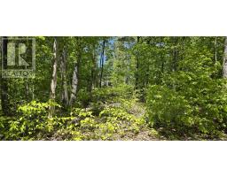 Lot 24-6 East Clifford Road, East Clifford, NS B4V7R8 Photo 6