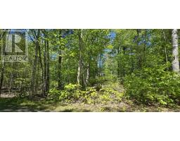 Lot 24-6 East Clifford Road, East Clifford, NS B4V7R8 Photo 9