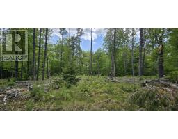 Lot 24-6 East Clifford Road, East Clifford, NS B4V7R8 Photo 17