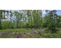 Lot 24-6 East Clifford Road, East Clifford, NS B4V7R8 Photo 23