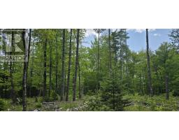 Lot 24-6 East Clifford Road, East Clifford, NS B4V7R8 Photo 22