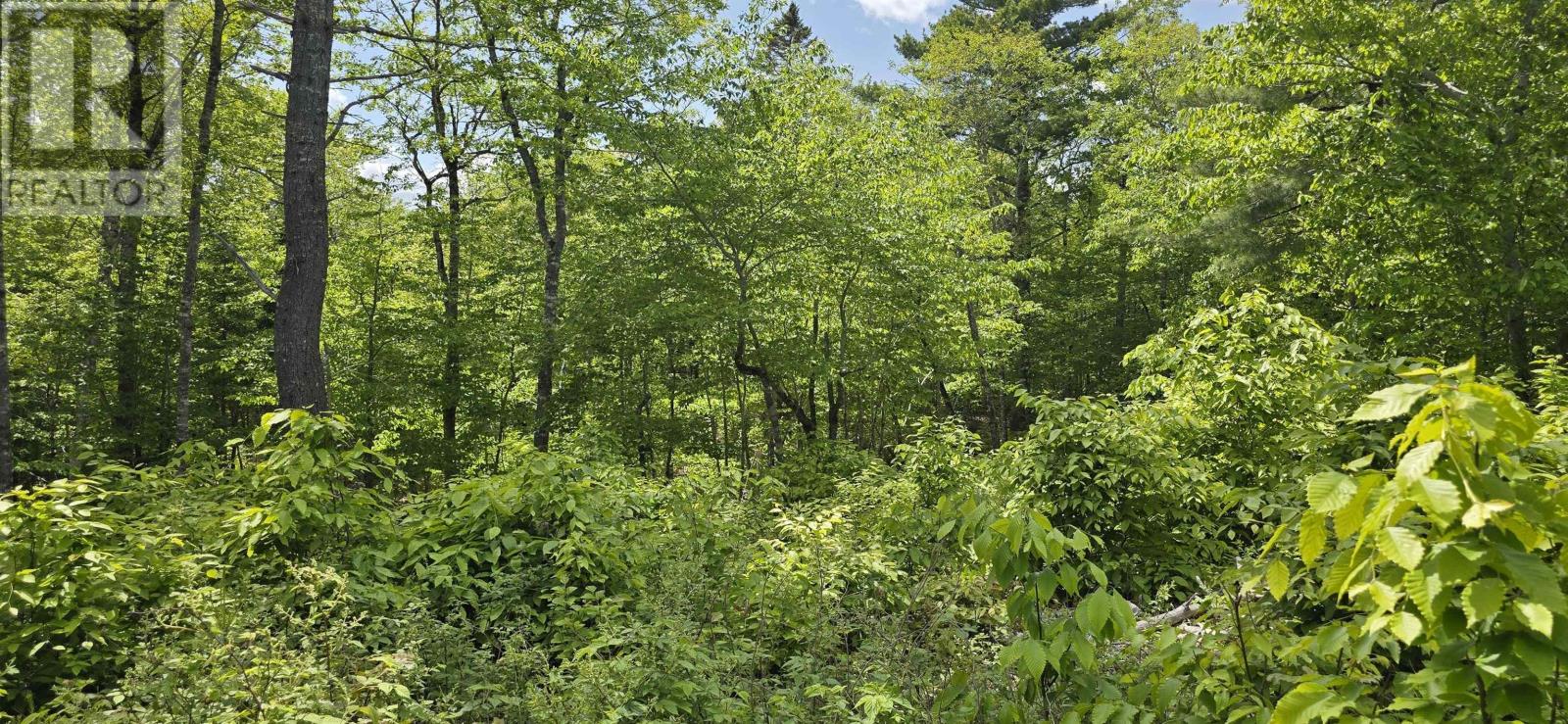 Property 12 of 31 of Lot 24-5 East Clifford Road