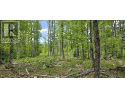 Lot 24-6 East Clifford Road, East Clifford, NS B4V7R8 Photo 13