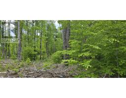 Lot 24-5 East Clifford Road, East Clifford, NS B4V7R8 Photo 8