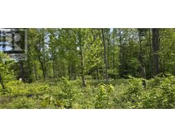 Lot 24-5 East Clifford Road, East Clifford, NS B4V7R8 Photo 18