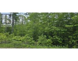 Lot 24-5 East Clifford Road, East Clifford, NS B4V7R8 Photo 13