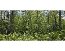 Lot 24-5 East Clifford Road, East Clifford, NS B4V7R8 Photo 22