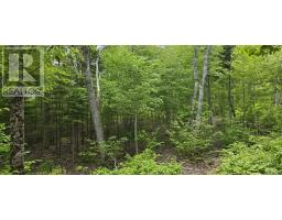 Lot 24-5 East Clifford Road, East Clifford, NS B4V7R8 Photo 6