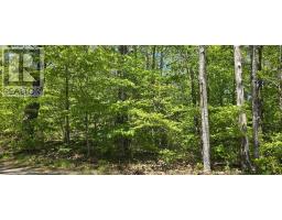 Lot 24-5 East Clifford Road, East Clifford, NS B4V7R8 Photo 15