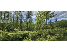 Lot 24-5 East Clifford Road, East Clifford, NS B4V7R8 Photo 21