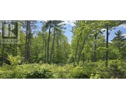 Lot 24-5 East Clifford Road, East Clifford, NS B4V7R8 Photo 17