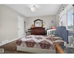 3350 18b Av Nw, Edmonton, AB T6T0R4 Photo 28