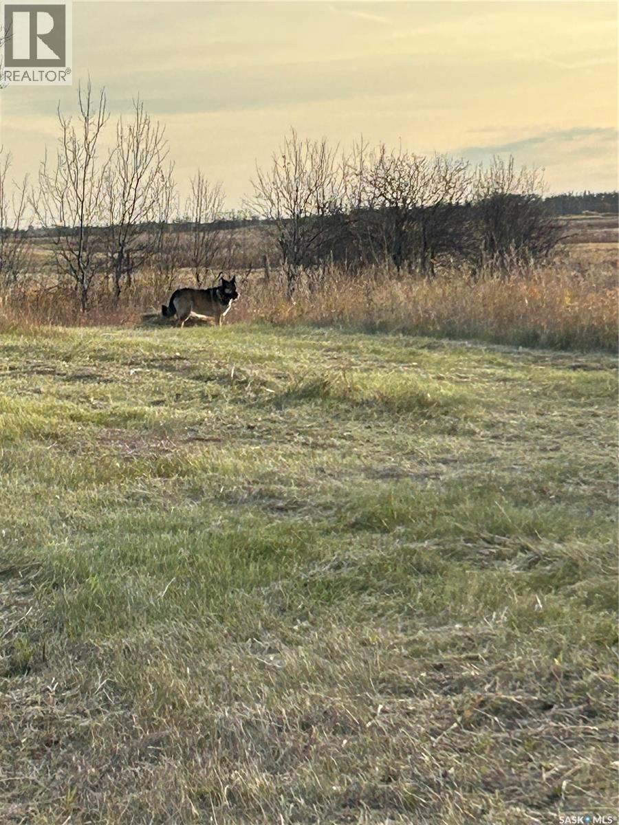 Rowan's Acreage - 25