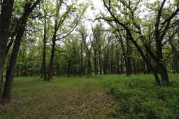 107103 43n (treesbank) Road, Brandon, MB R7A5Y1 Photo 45