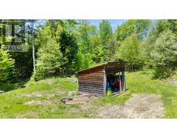 1150 Royston Road, Ryerson, ON P0A1C0 Photo 35
