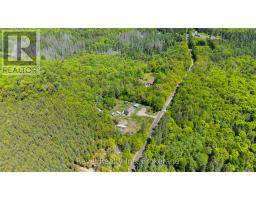 1150 Royston Road, Ryerson, ON P0A1C0 Photo 37