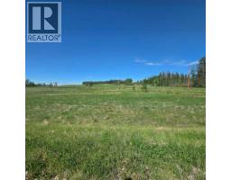 Lot 4 Range Road 175, Rural Yellowhead County — photo 4