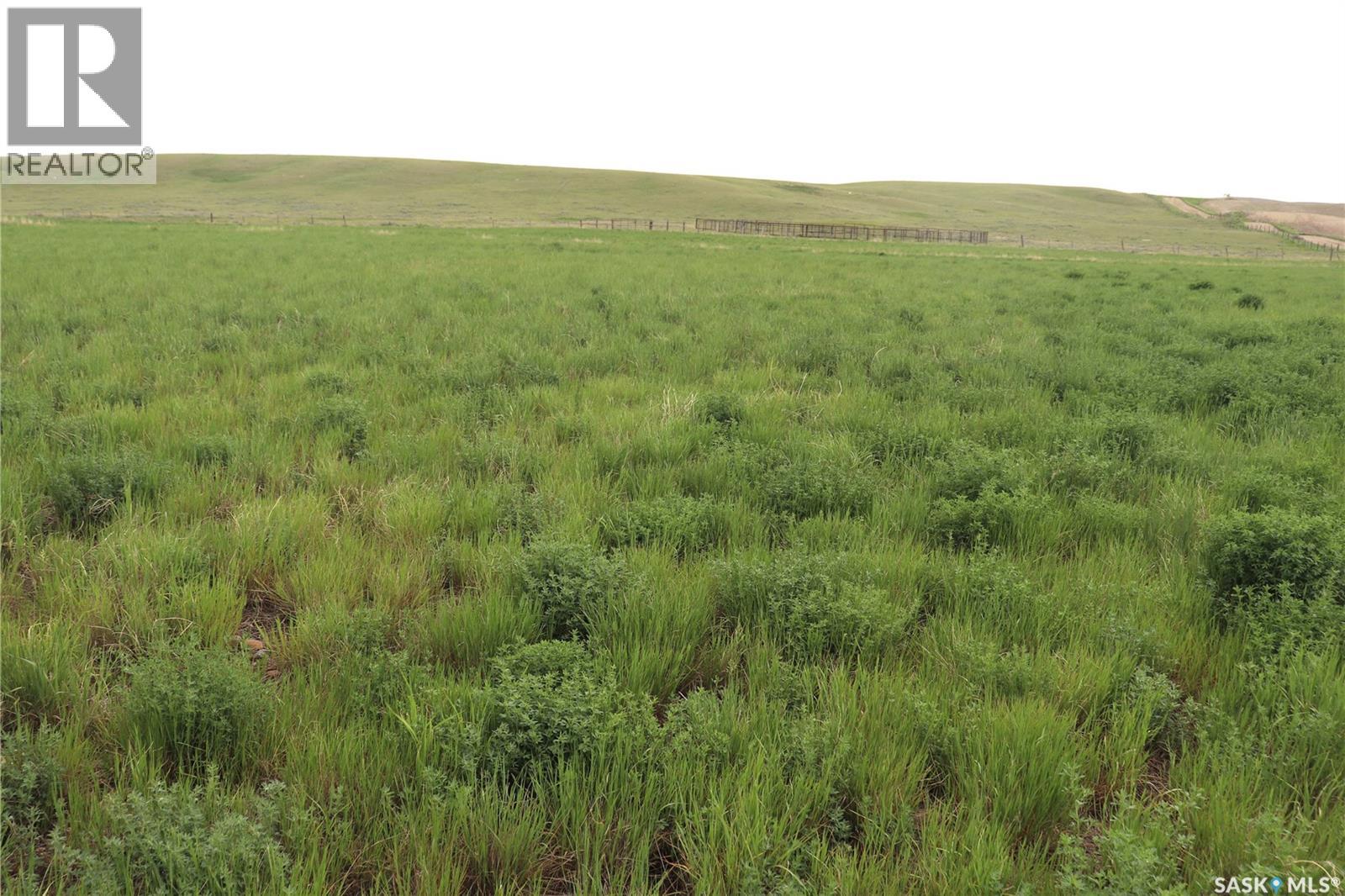 925 Acres Pasture Near Admiral — photo 10