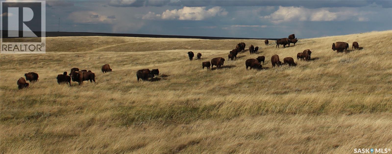925 Acres Pasture Near Admiral — photo 23