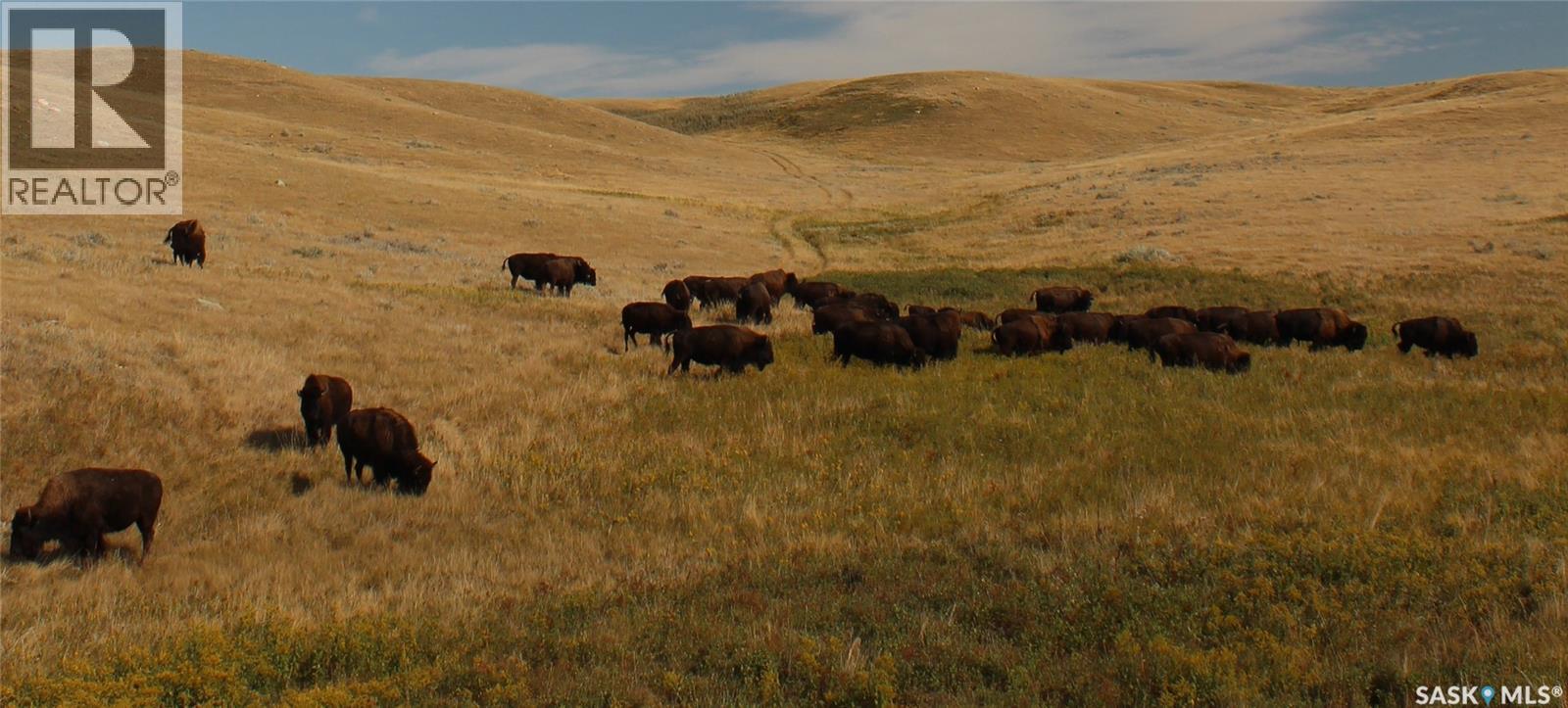 925 Acres Pasture Near Admiral — photo 24