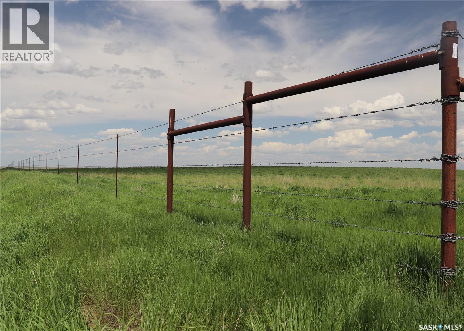 925 Acres Pasture Near Admiral - photo 4