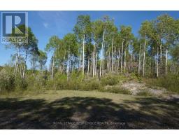 918420 Portage Bay Road, Timiskaming, ON P0J1C0 Photo 7
