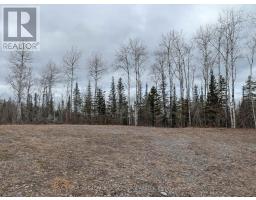 918420 Portage Bay Road, Timiskaming, ON P0J1C0 Photo 8