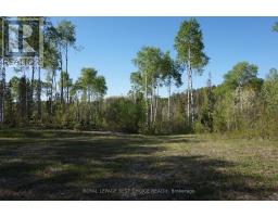 918420 Portage Bay Road, Timiskaming, ON P0J1C0 Photo 20